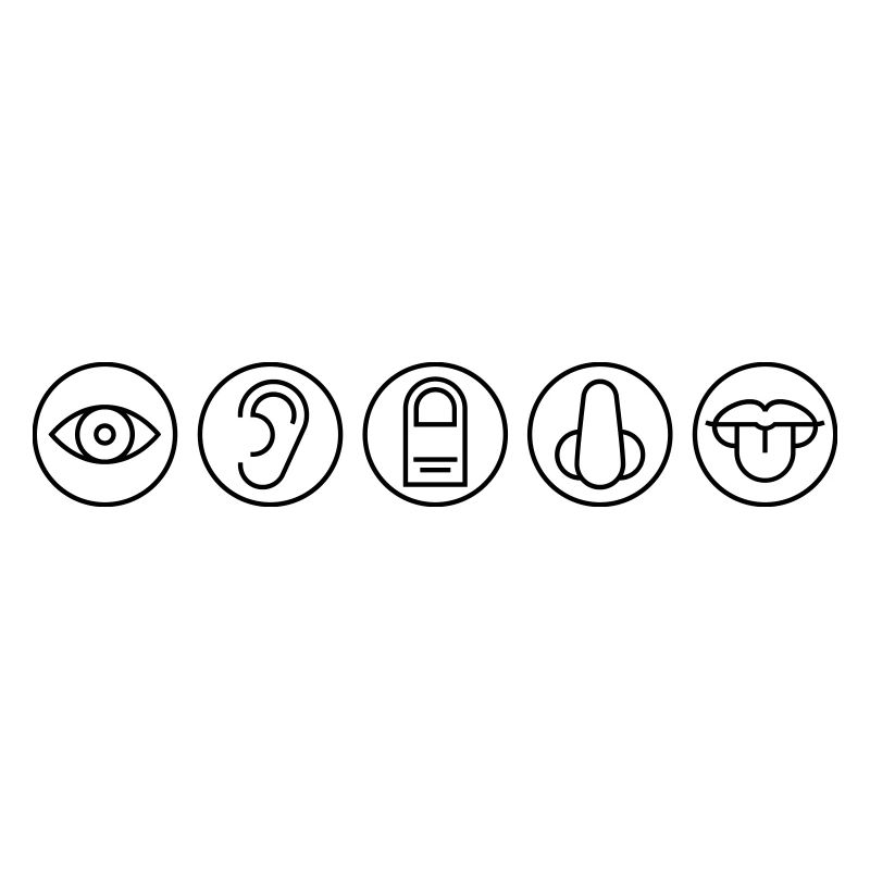 Five Senses, Sensory Organs, Medicine