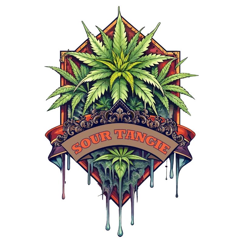 Sour Tangie