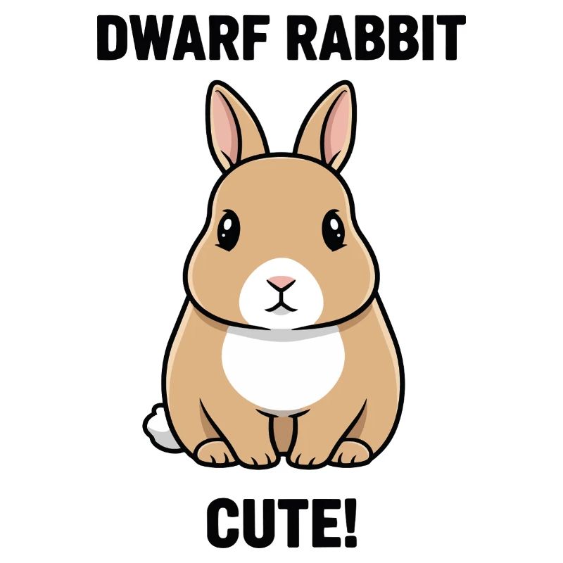 Dwarf Rabbit Dwarf Cute Rabbit Fetish