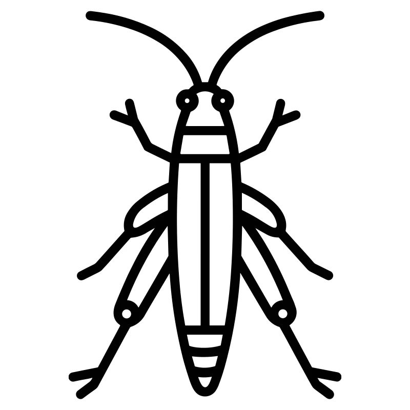 grasshopper