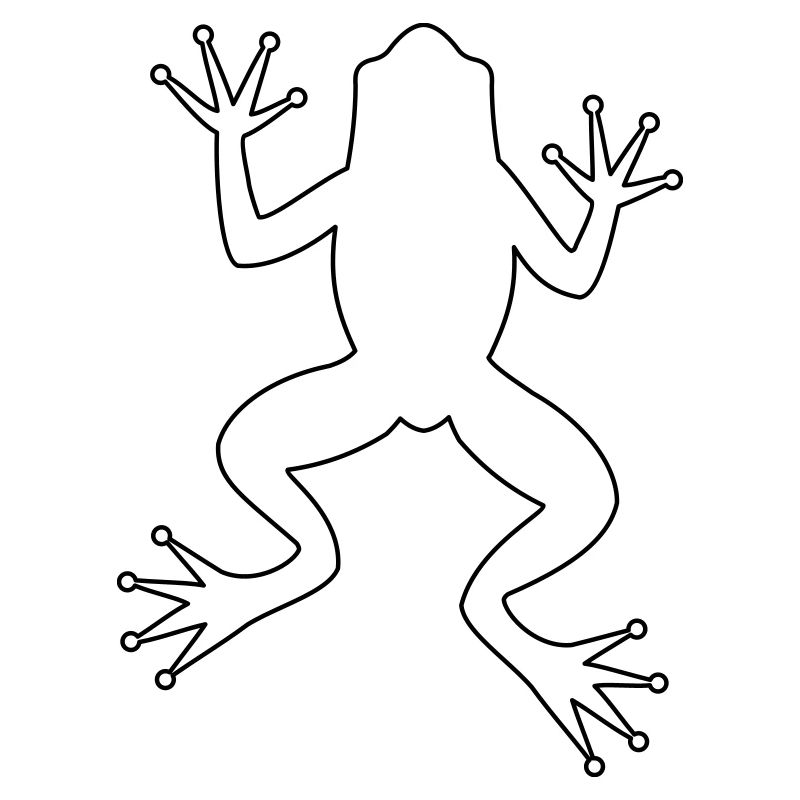 Frog toad tree frog silhouette