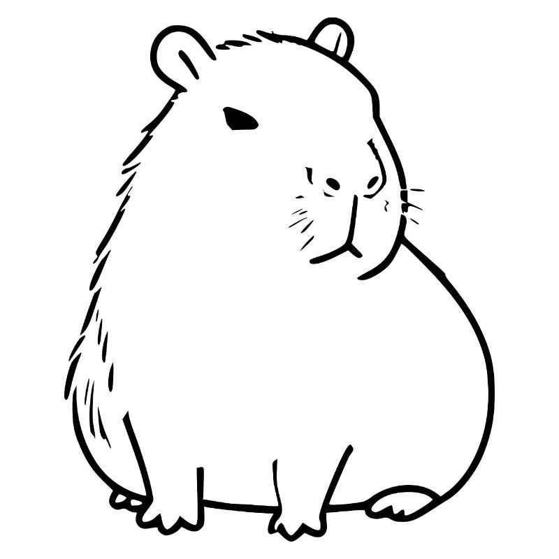 Capybara capybara noir