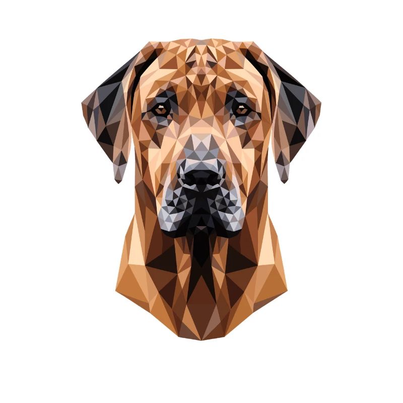 Chiens de chasse Rhodesian Ridgeback Pride Ridgeback