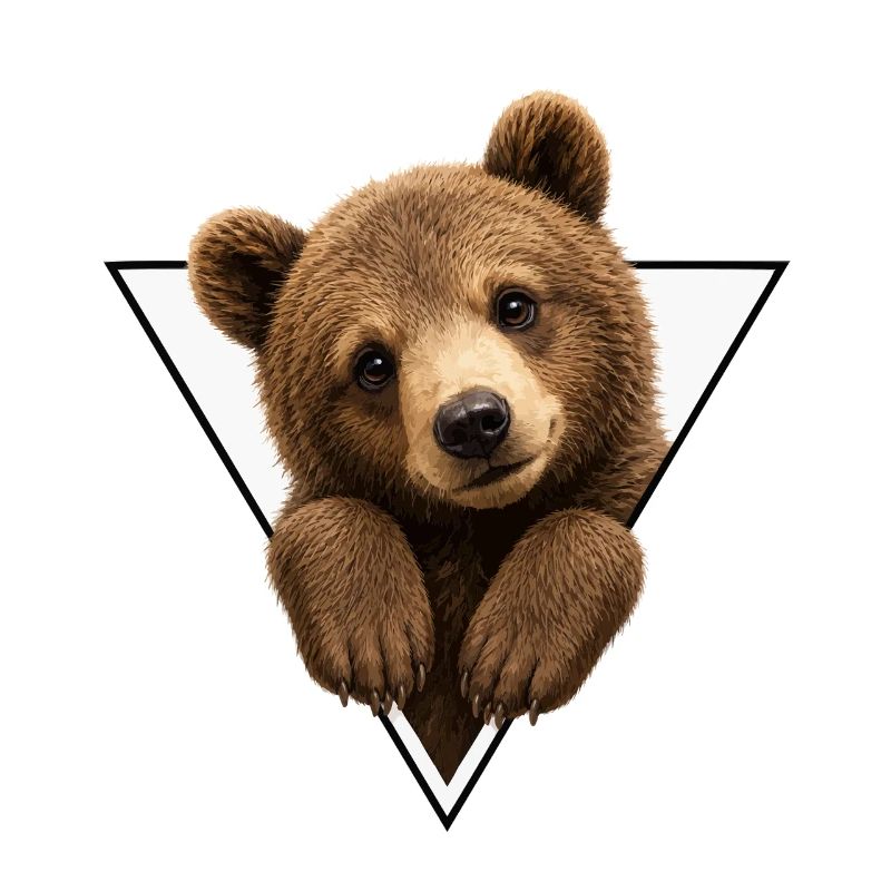 Ourson en triangle