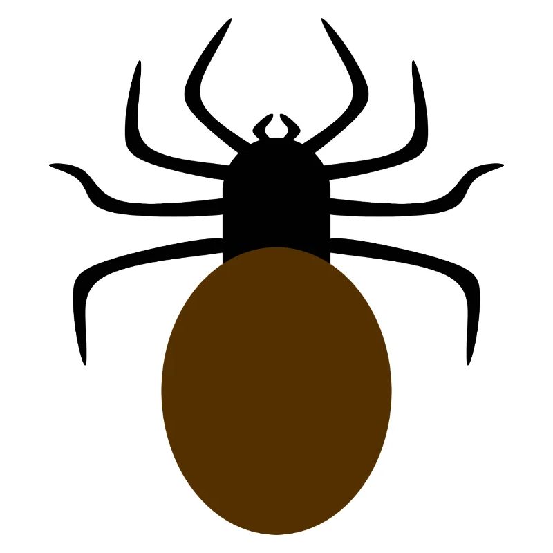 Minimalist Spider Design