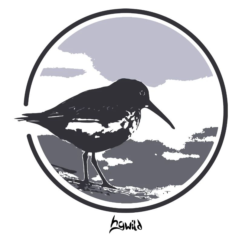 HGWILD - Bécasseau variable
