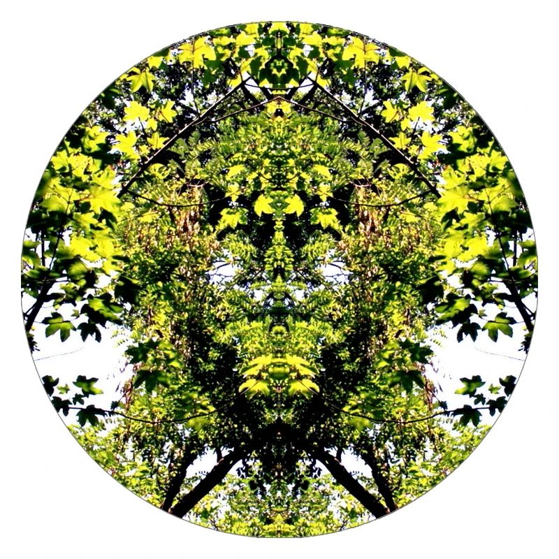 Tree Nature Creature