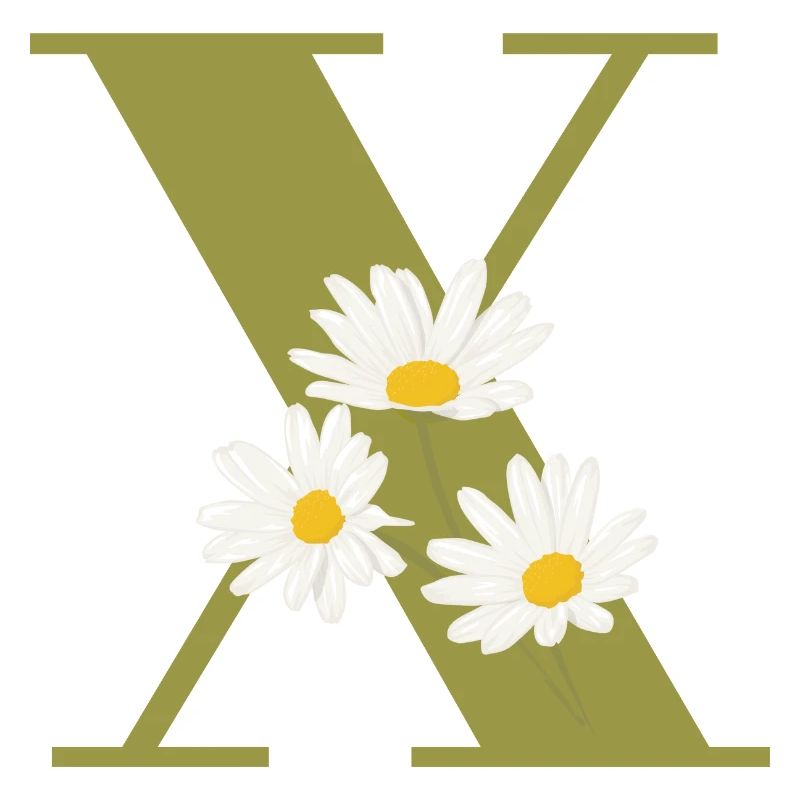 Buchstabe x Grüne Gänseblümchen