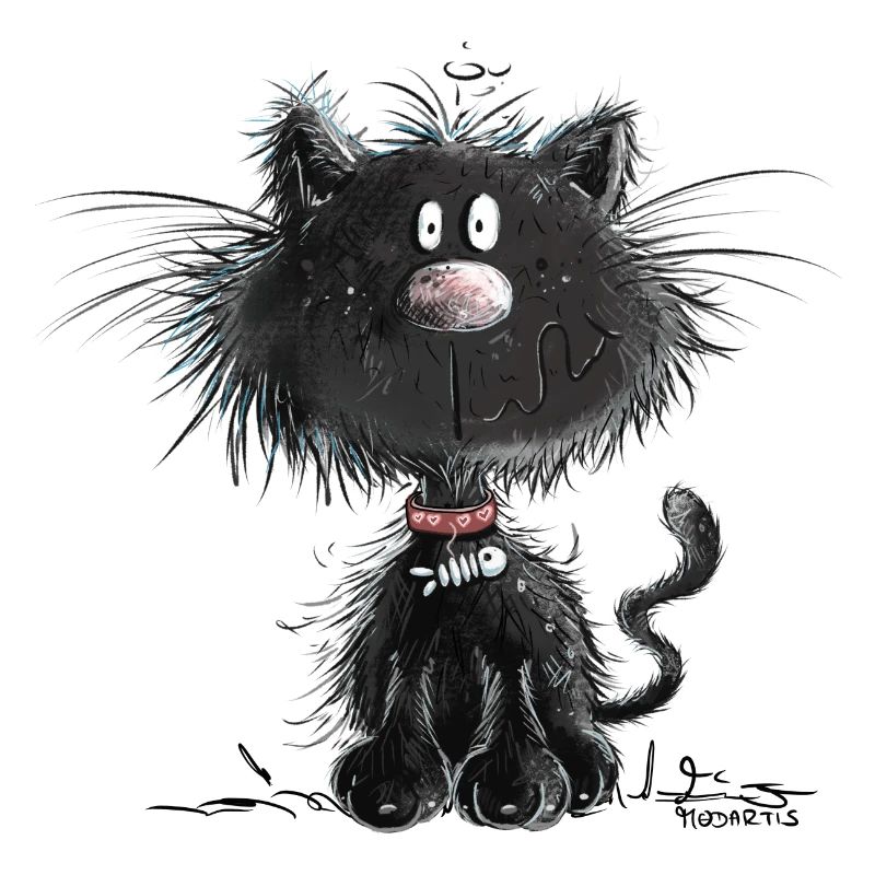 Droll Black Cat