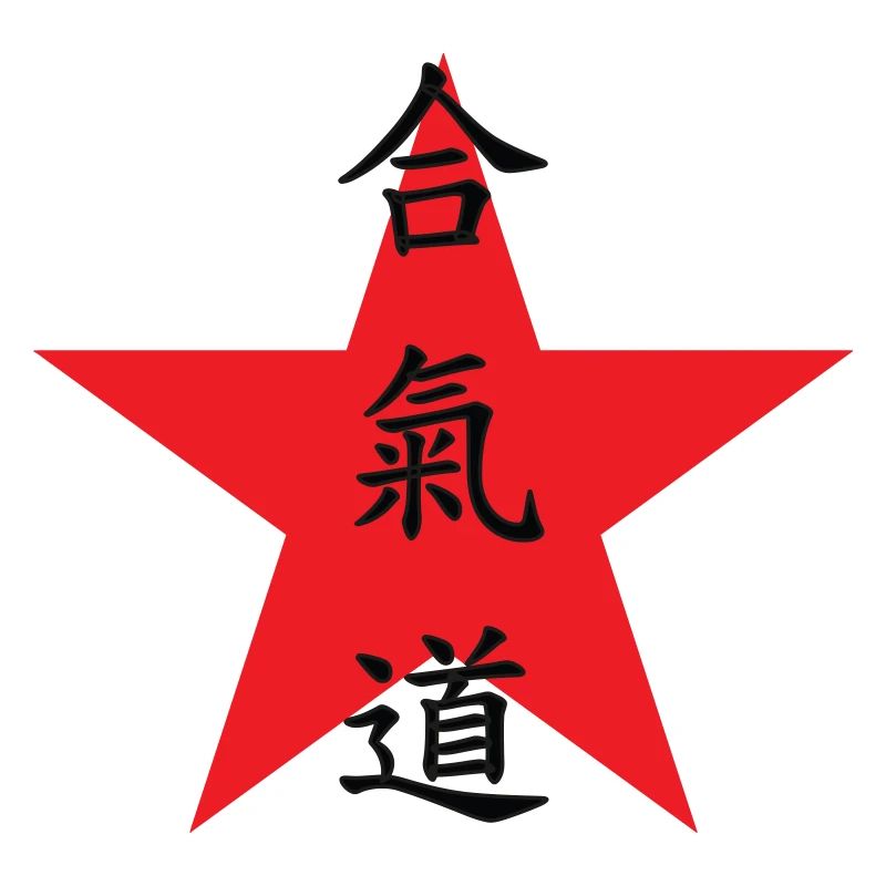 Aikido – Kampfsport – Aikido