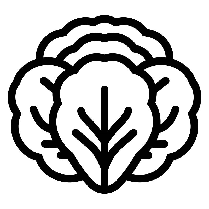 cabbage