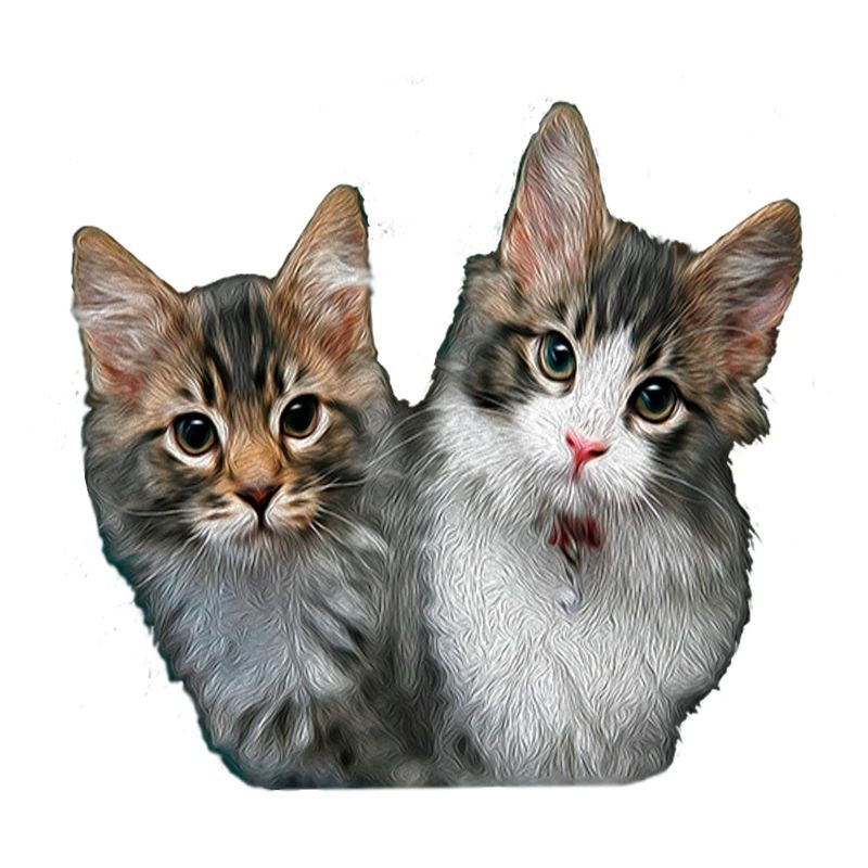 Chatons