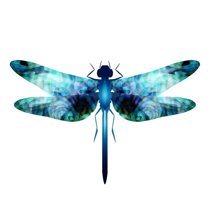 Libellule irisée dans les tons bleu-vert