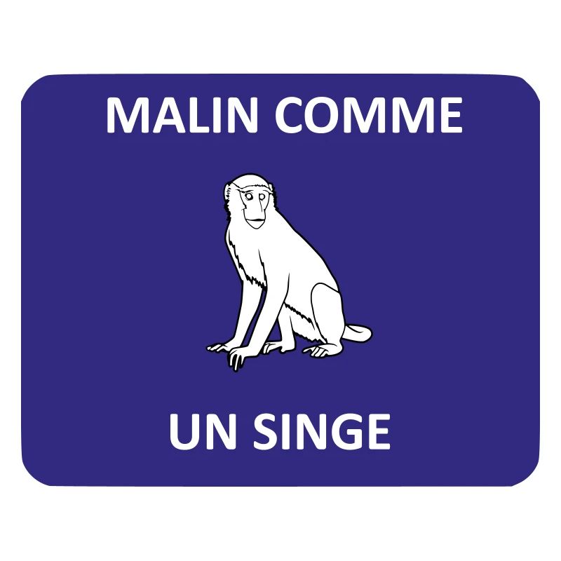 Malin comme un singe