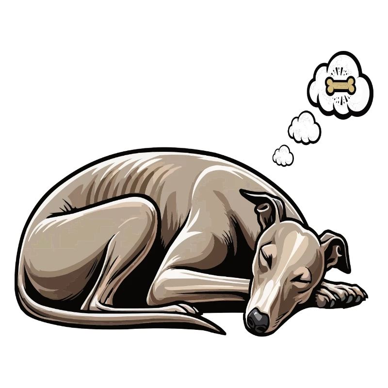 Whippet Greyhound Whippets Propriétaire de lévrier