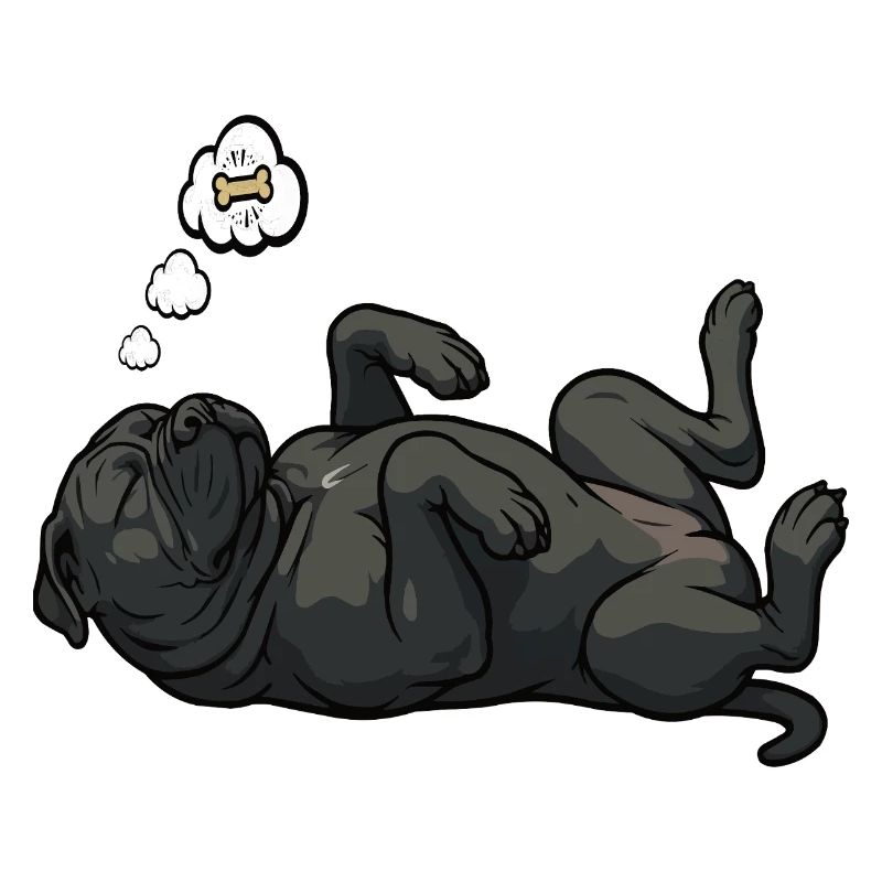 Cane Corso Cane Corsos Corso halter Corso Besitzer
