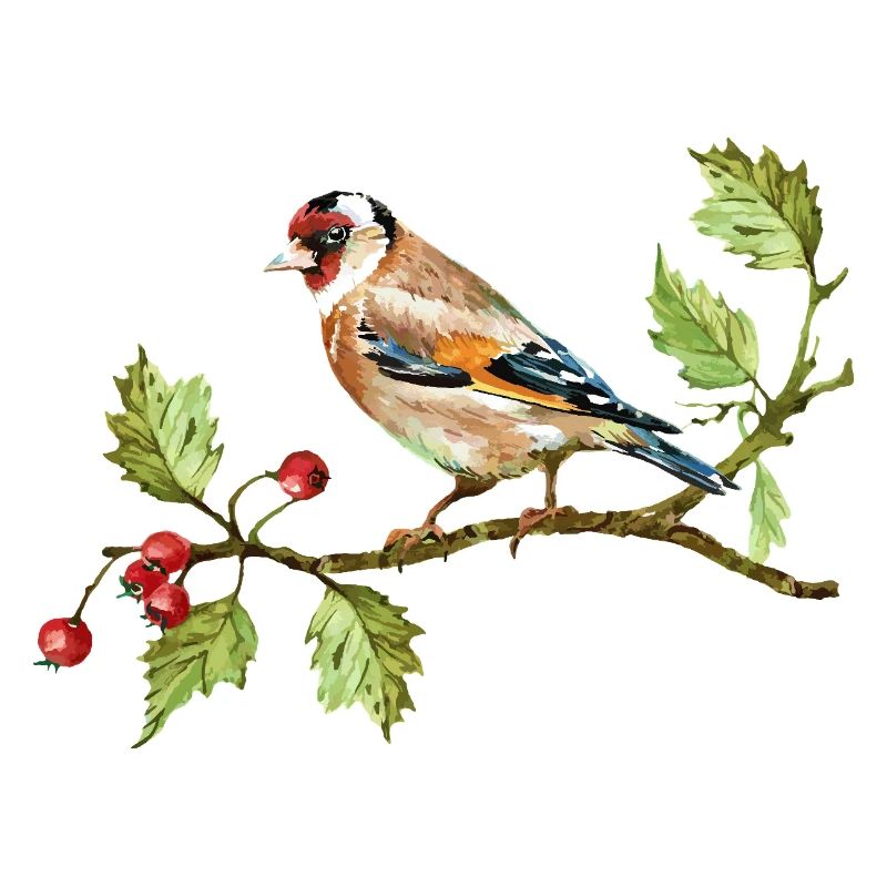 Bunter Vogel
