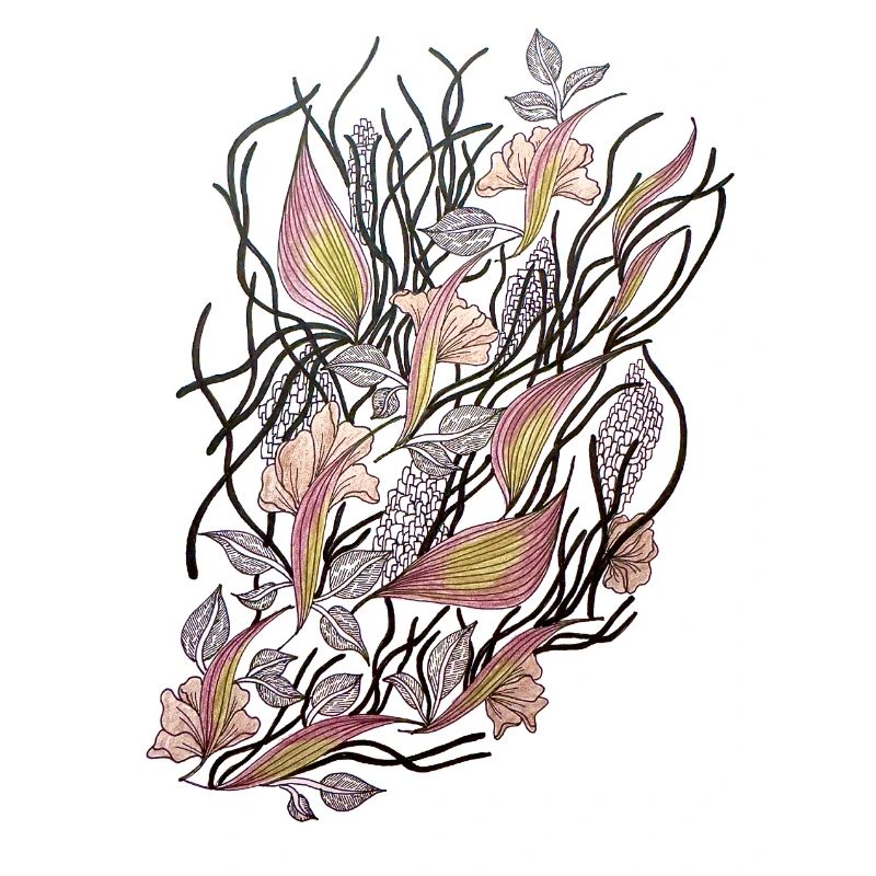 Florale Netze der Ranunkeln