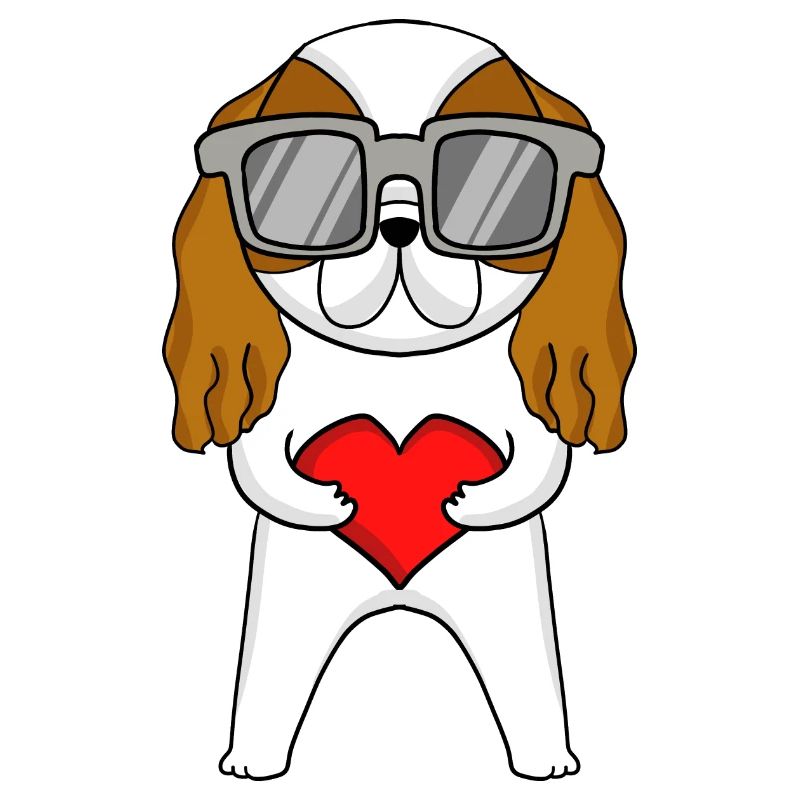 Cavalier King Charles Spaniel with sunglasses