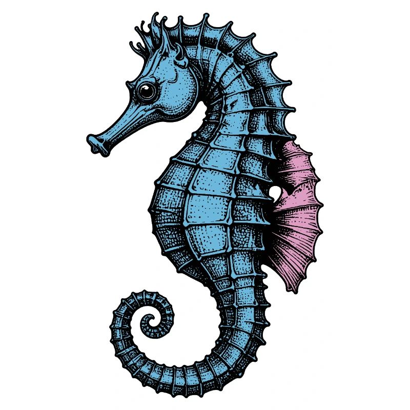 Seepferdchen
