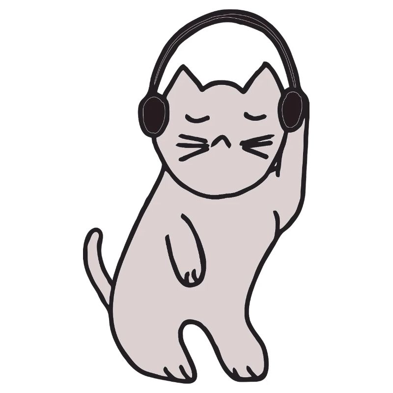 Katze discoqueen