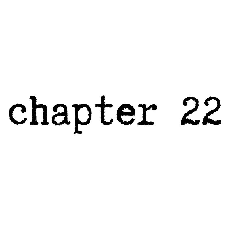 chapter 22 Geburtstag