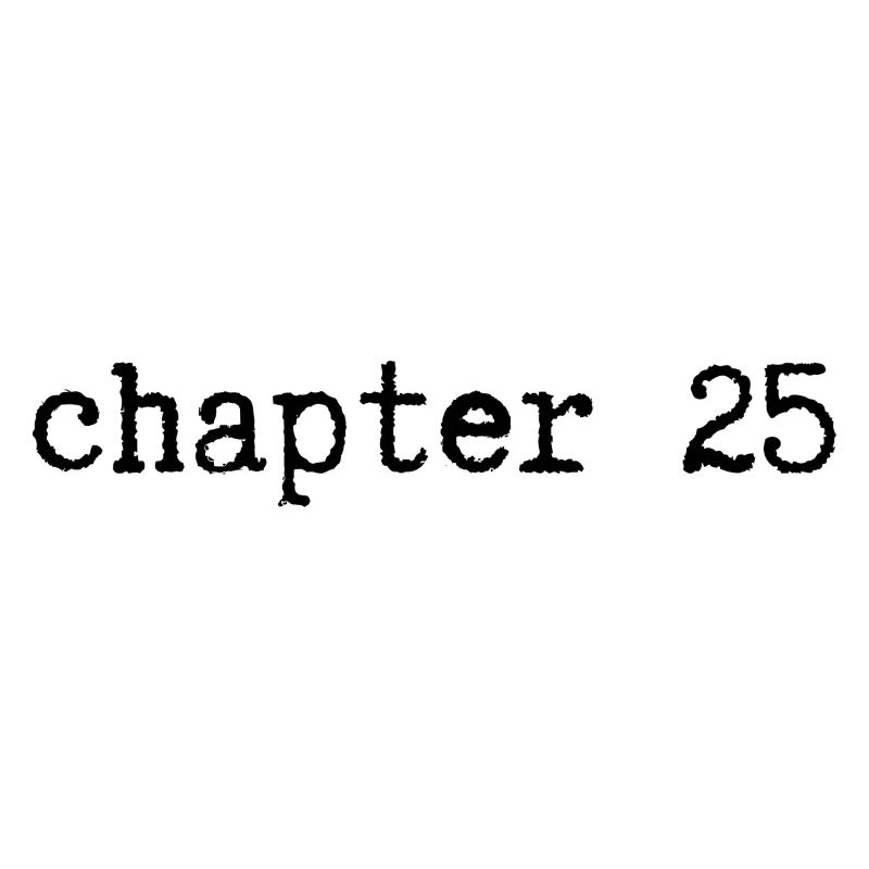 chapter 25 Geburtstag
