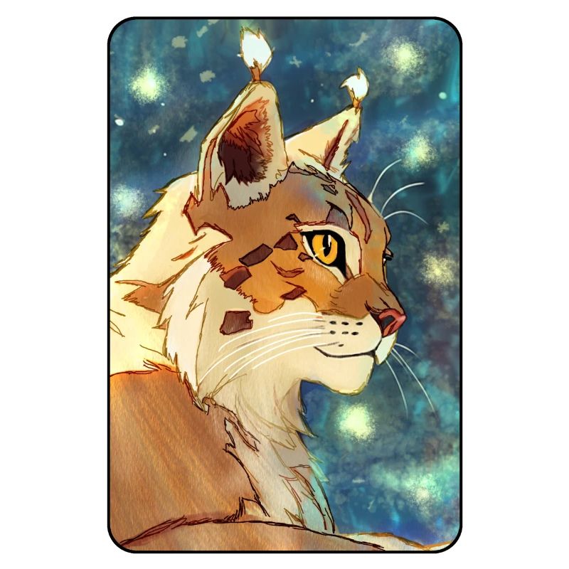 Luchs im Profil