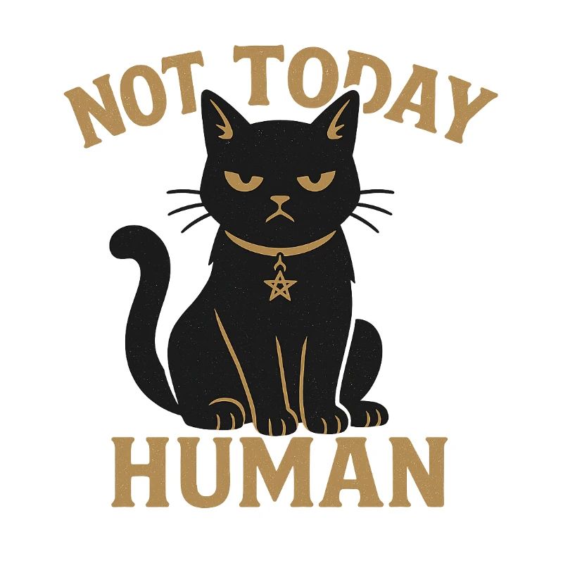 Not Today Human Schwarze Katze Sarkasmus