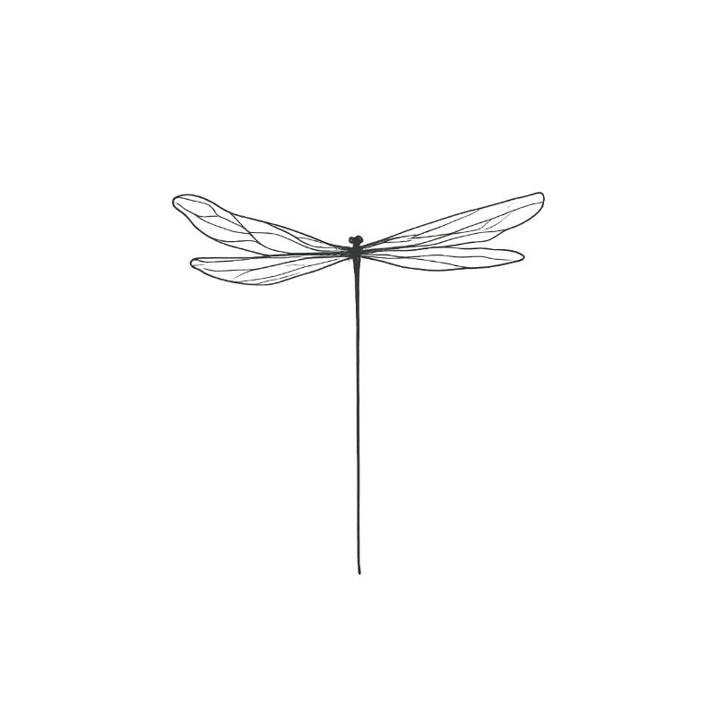 Fein gezeichnete Libelle im minimalistischen Stil