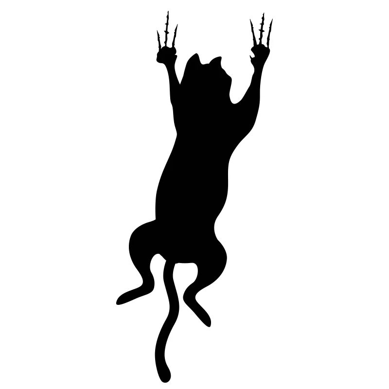 chat cat