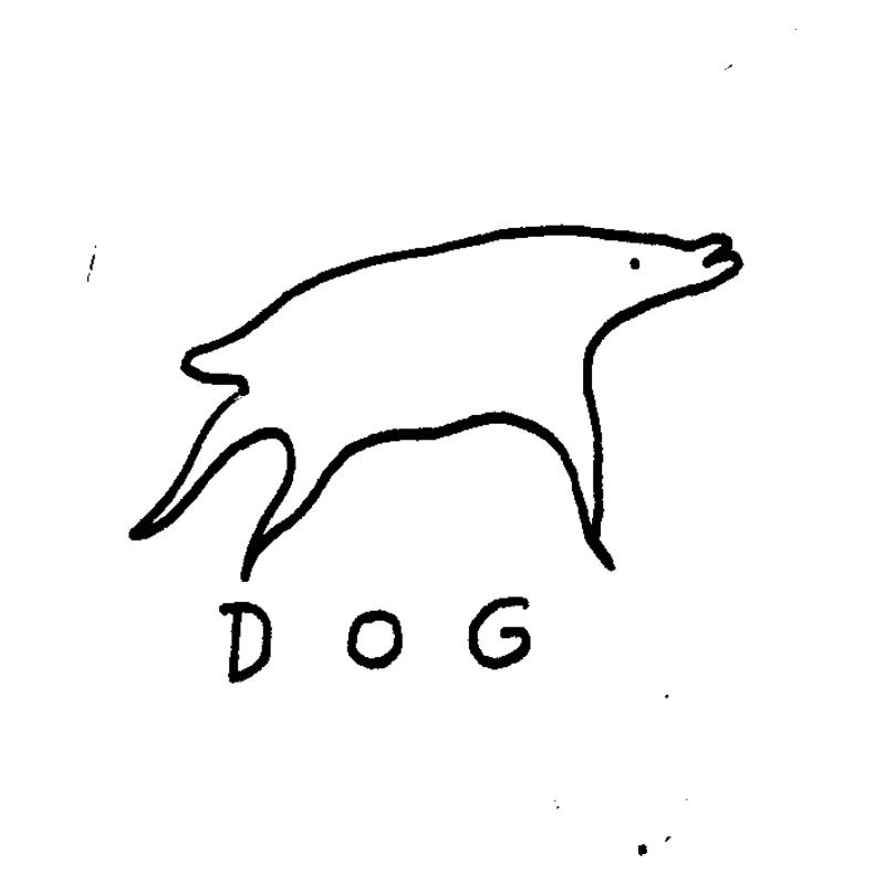 Chien