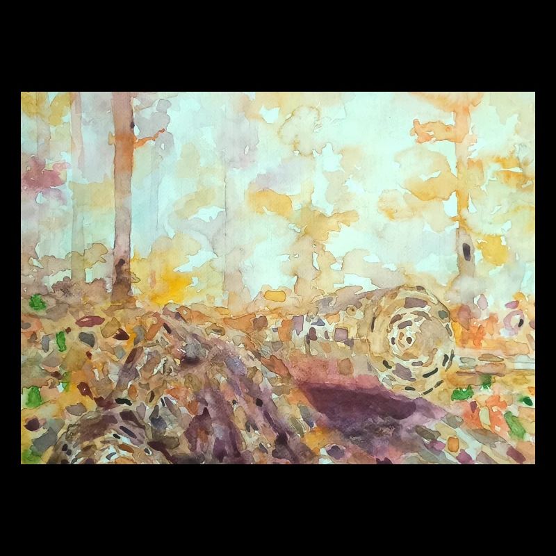 Paysage aquarelle forestier automne