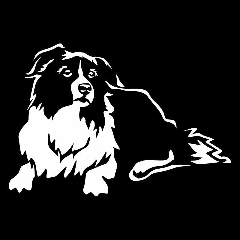 Border Collie "Black Edition"
