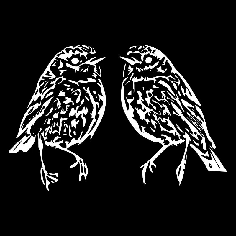 oiseaux blancs oiseau cadeau blanc ornithologue