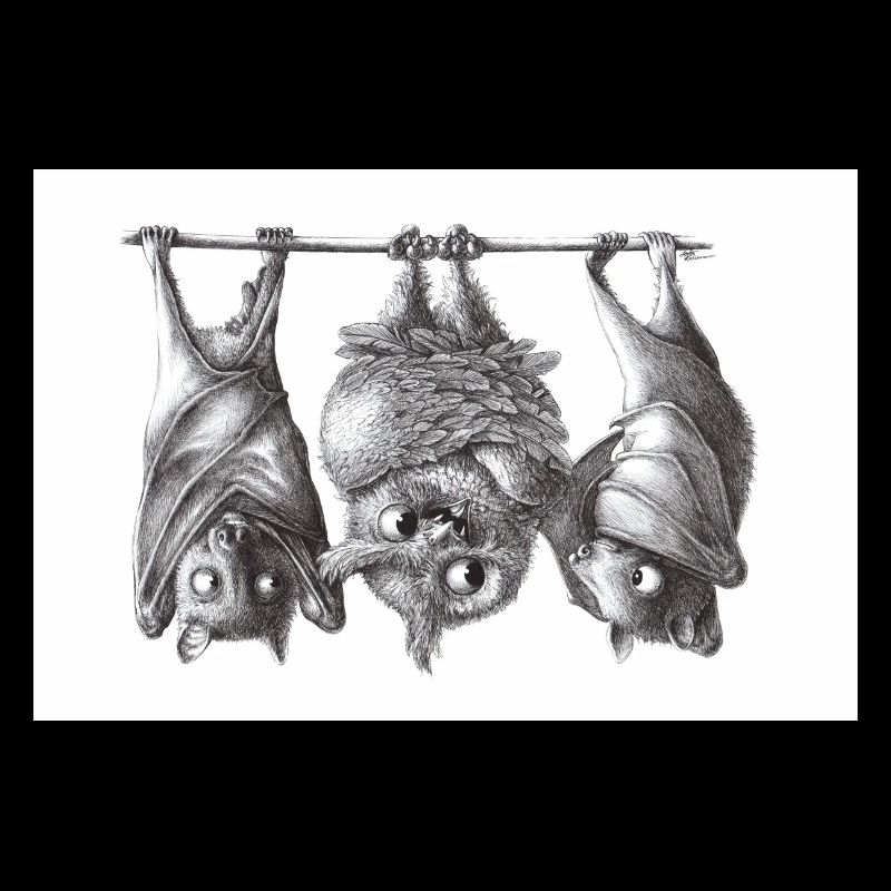 Vampire owl and bats