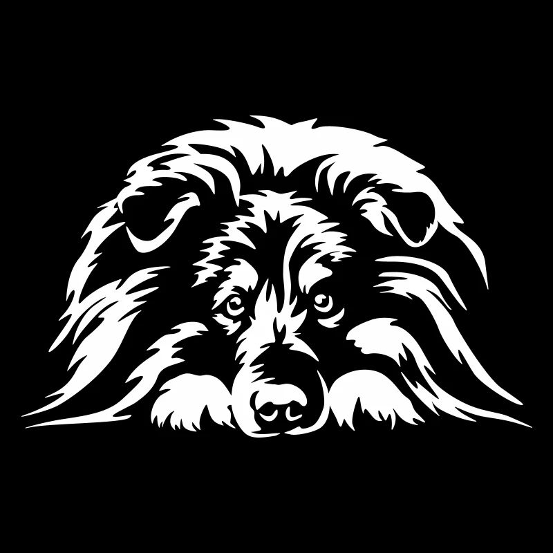 Sheltie "Black Edition"