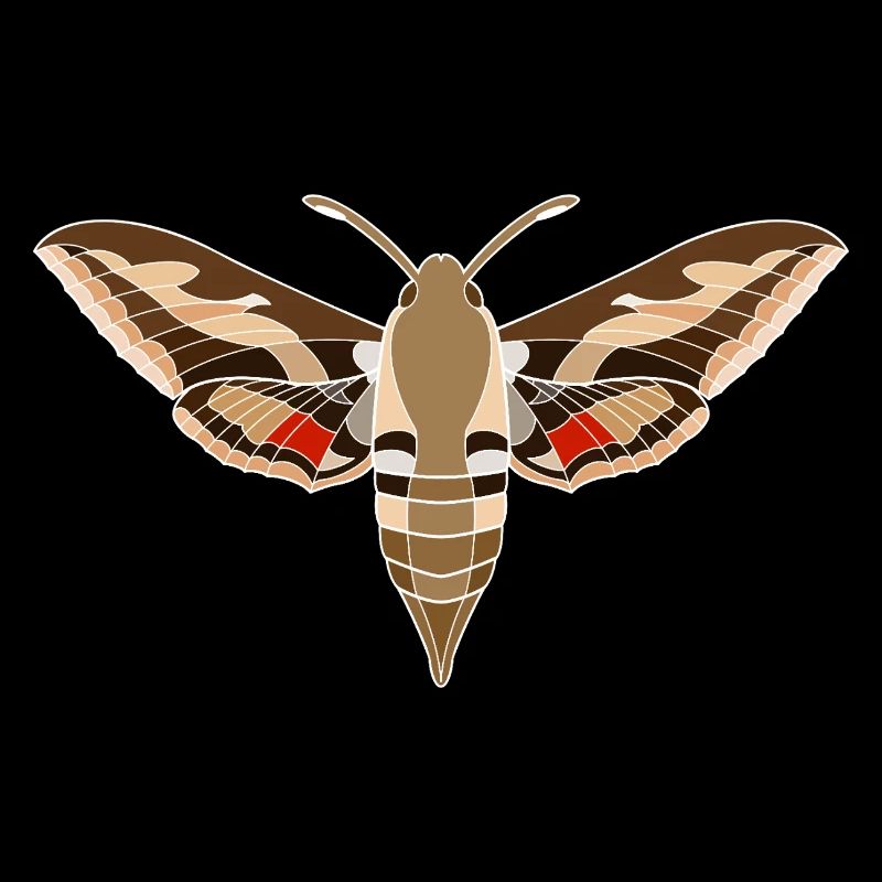 Bedstraw hawkmoth