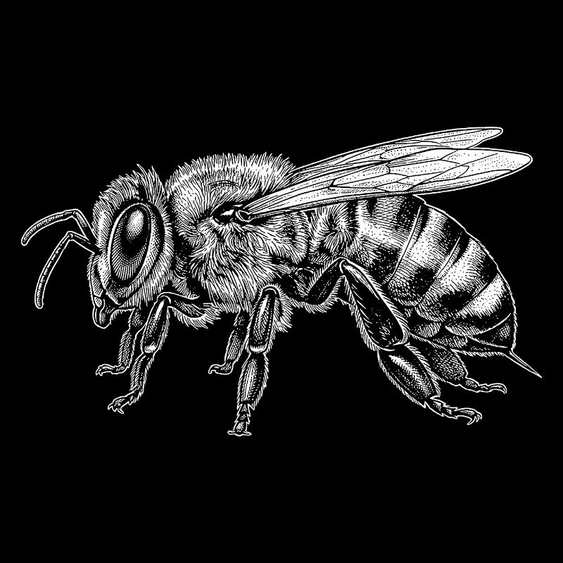 abeille
