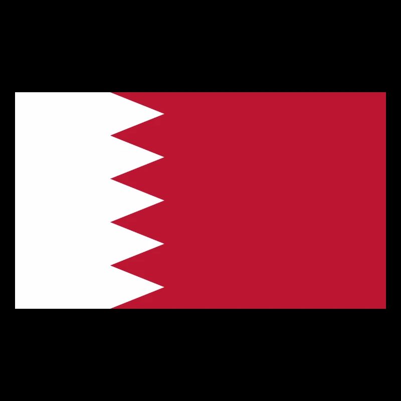 Qatar Flag Flag