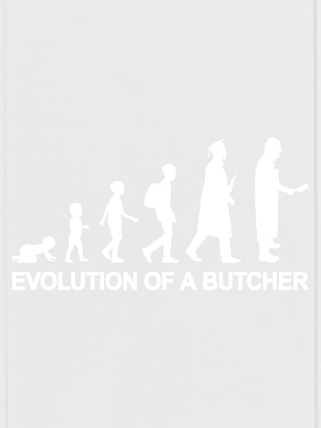 Boucher Evolution