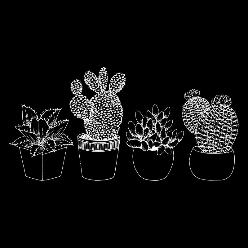 Minimalist Cactus Illustration