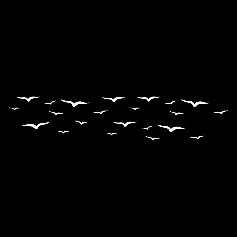oiseaux
