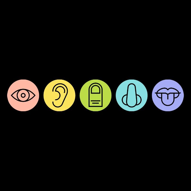 Five Senses, Sensory Organs, Medicine