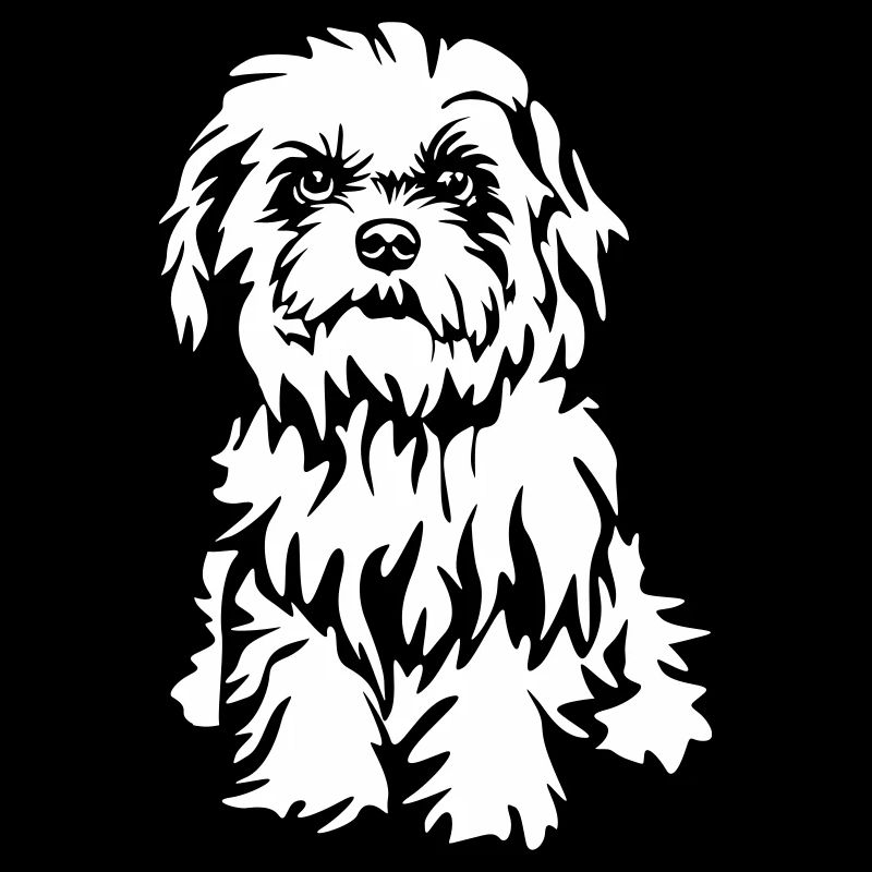 Havanese "Black Edition"