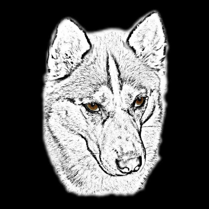 Wolfskopf Line Study