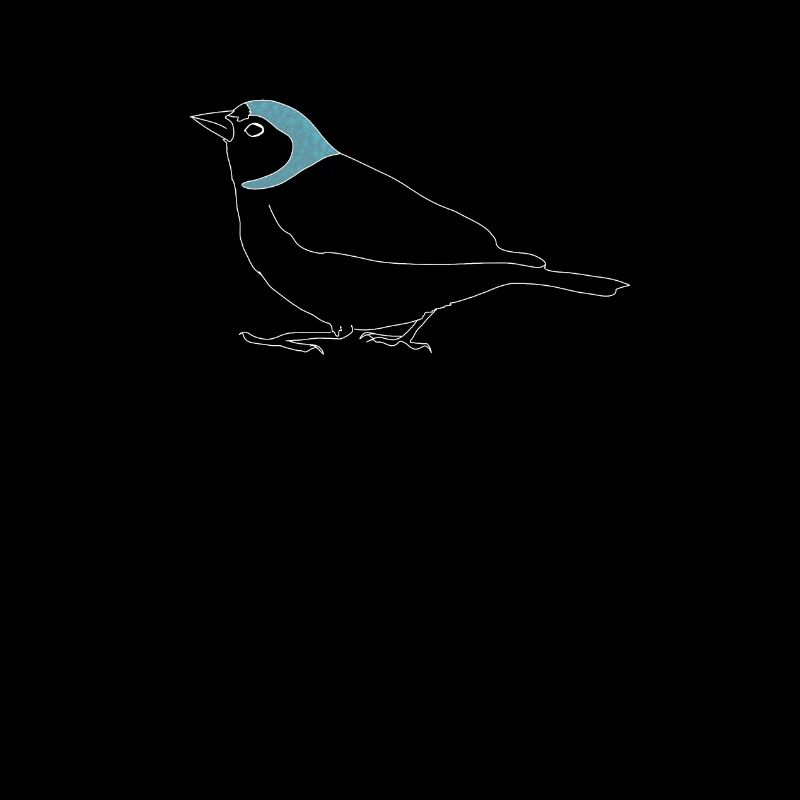Buchfink