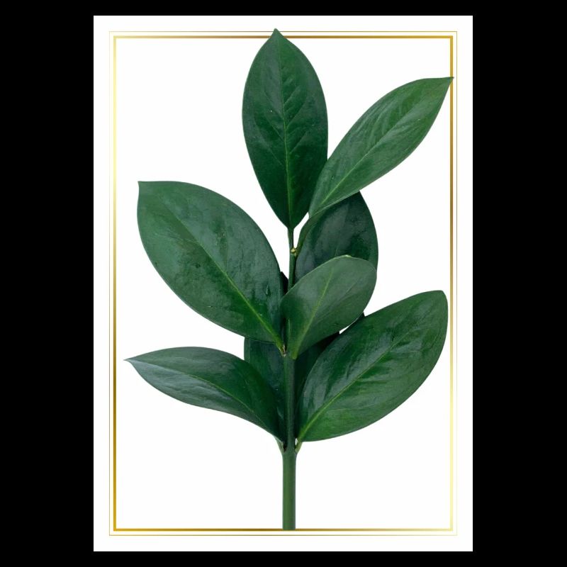 Branche verte avec bordure dorée