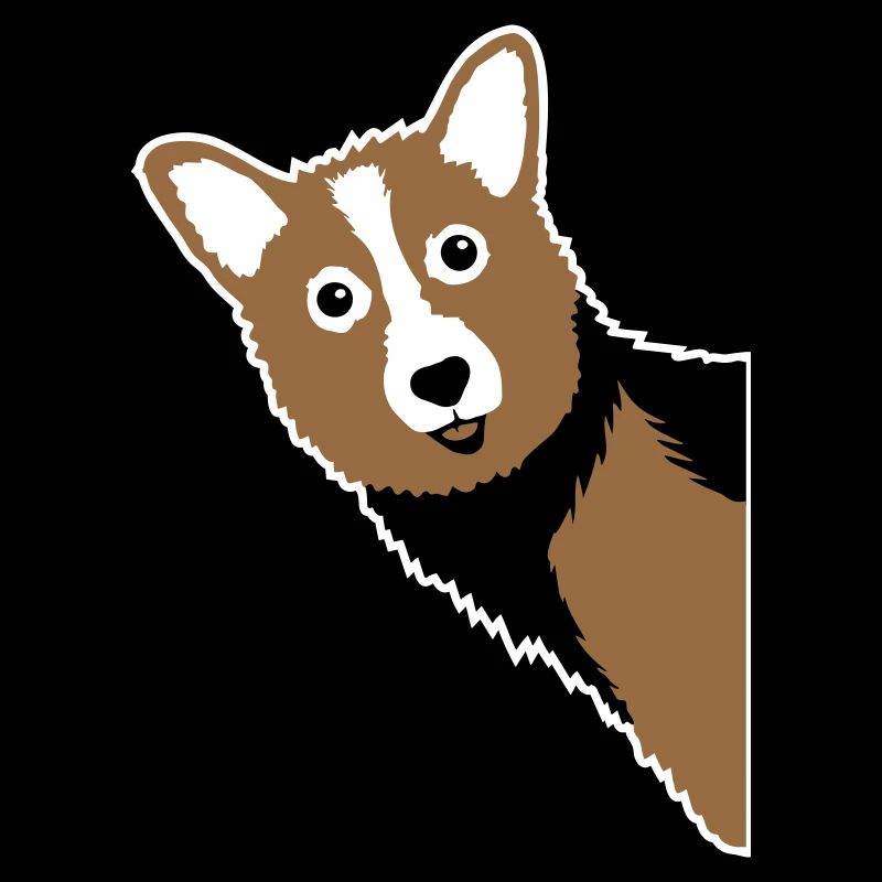 Corgi Cuckoo – Perfect for every dog owner