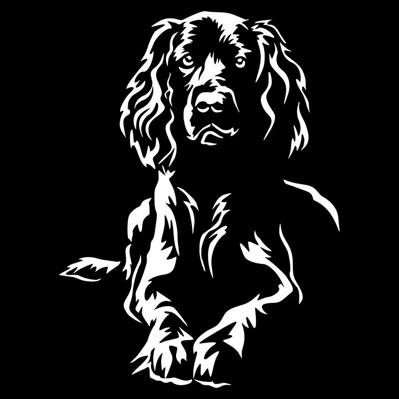 Field Spaniel "Black Edition"